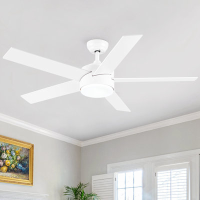 Ventilateur de plafond 51,96