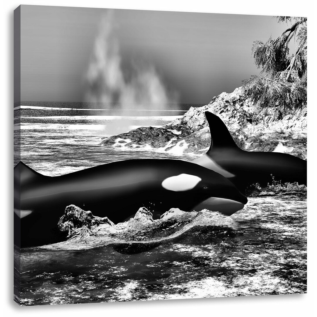 Leinwandbild Orcas vor Insel