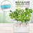 Ivation Hydroponic Unit