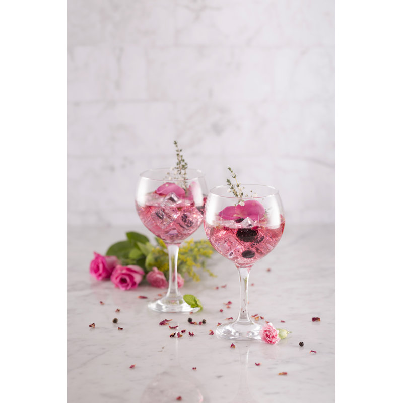 Entertain 550 ml Gin Balloon Glass Set