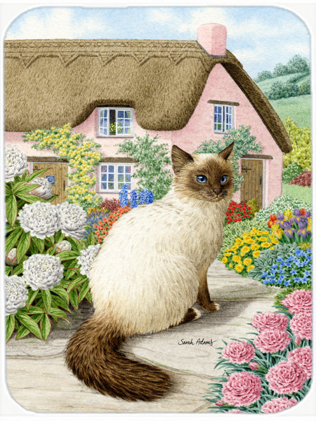 Birman Glass Cutting Board