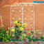 Arche de jardin en métal avec plante grimpante à largeur réglable-792512675-792490338