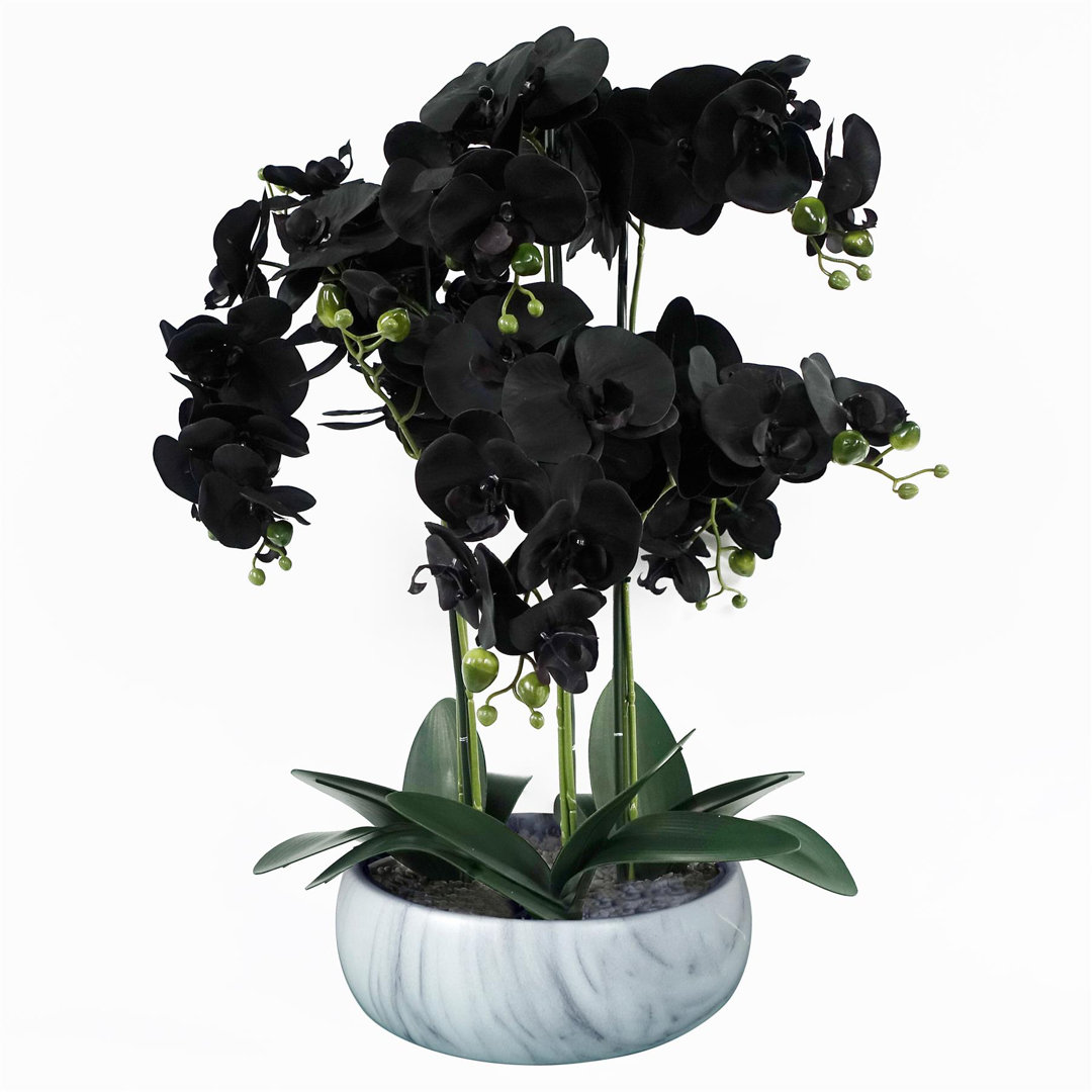 Orchids Plastic, Silk Artificial Arrangement in Planter