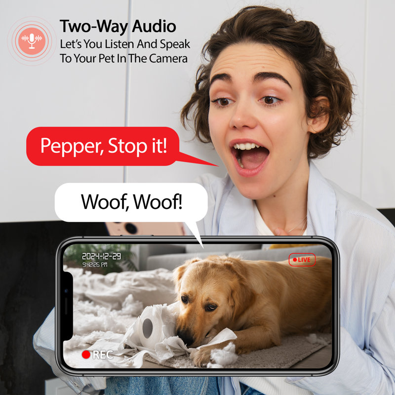 Mangeoire pour animaux 4L avec caméra vidéo 2K, audio bidirectionnel, vision nocturne, 5Ghz et Wi-Fi double bande 2,4Ghz