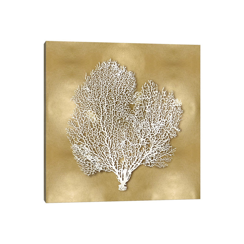 Sea Fan On Gold II by Caroline Kelly - Wrapped Canvas Print, 30.48 cm H x 30.48 cm W
