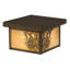 Rustic Lodge 1 - Light Flush Mount