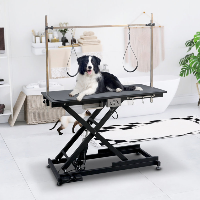 36'' H x 49.6'' W x 26'' D Metal Adjustable Electric Grooming Table, Deep Black