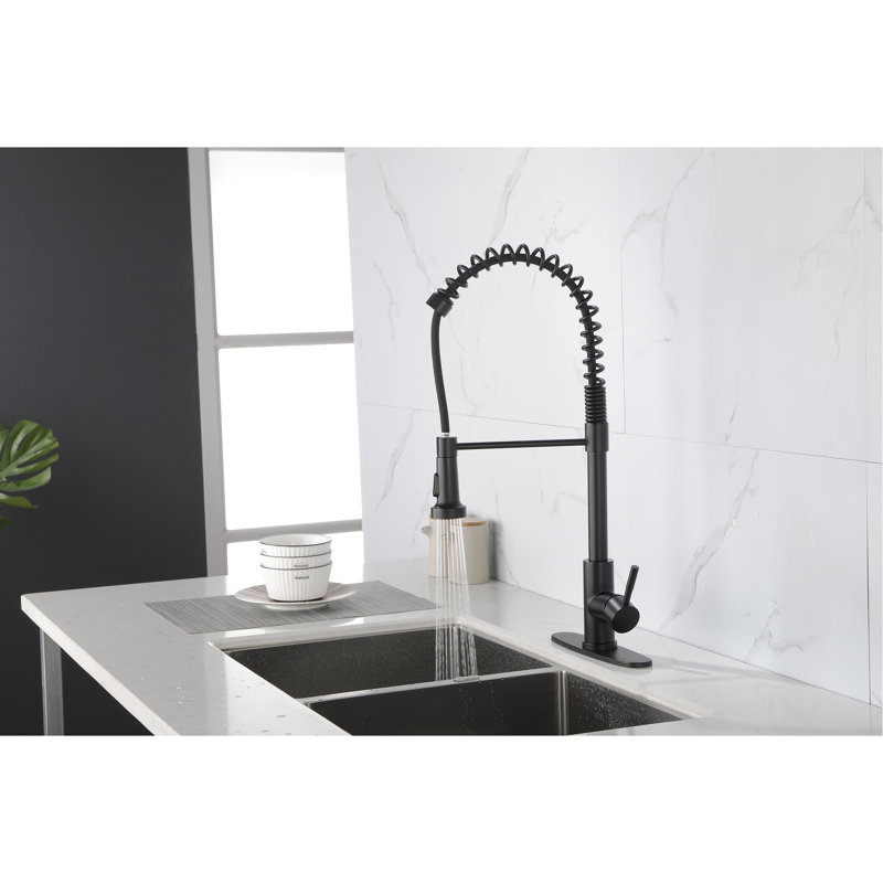 Robinet d'évier de cuisine à douchette extractible - acier inoxydable, noir mat, acier pratique avec utilisation d'eau, poignée simple