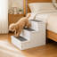 Rampe d'escalier antidérapante en bois avec tapis pour animaux de compagnie
