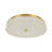 Galaxy-Like Dimmable LED Flush Mount