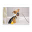«Cute Mongrel Bath», art mural sur toile-302070443