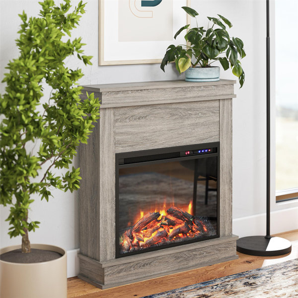 Cast Iron Electric Fireplace | Wayfair