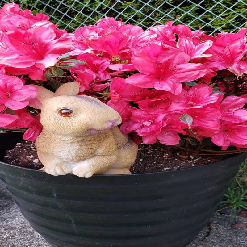 Statue de jardin Keedah Rabbit