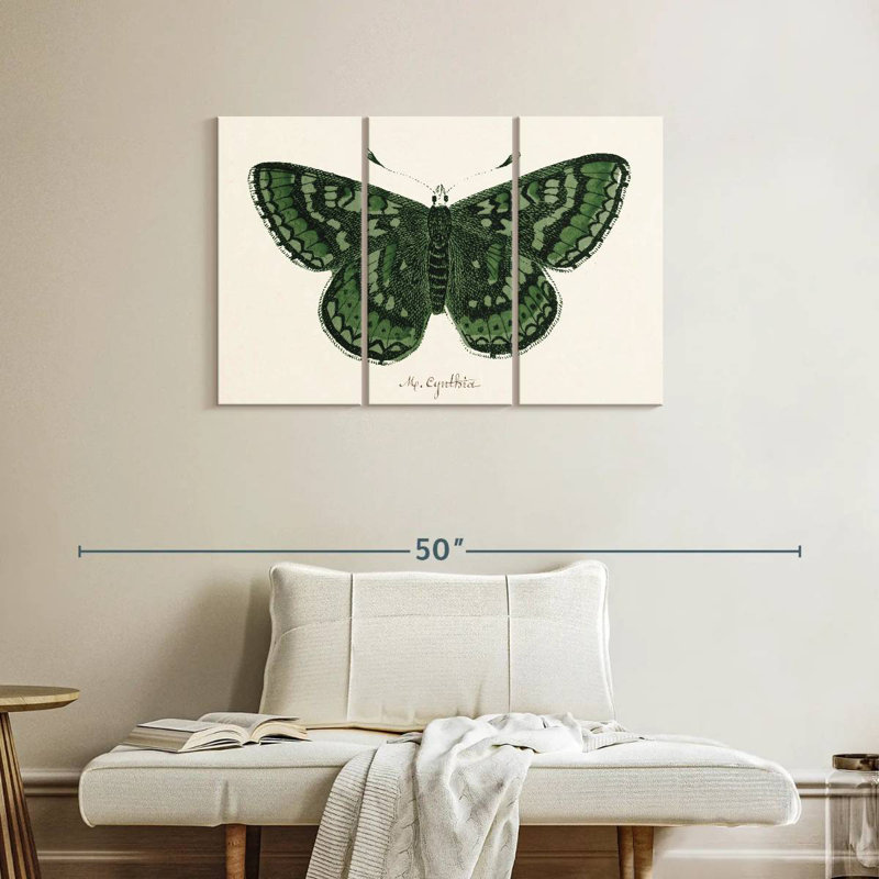 Papillon antique I, H 24 po x l 38 po