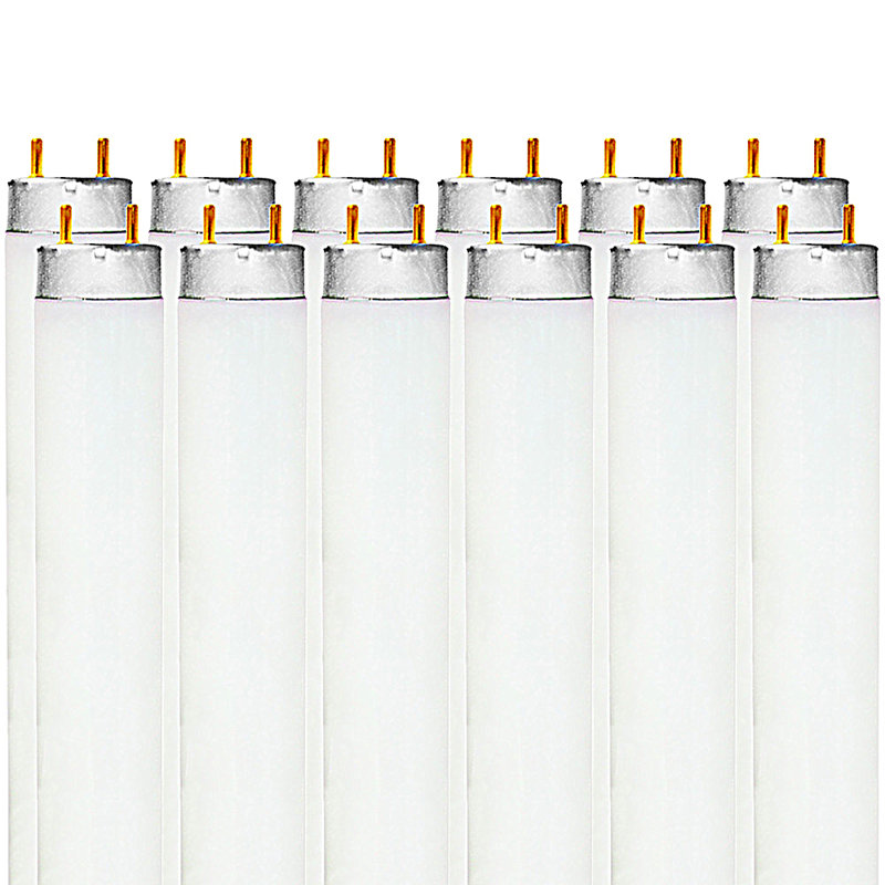 32 W, ampoule fluorescente T8 à intensité non variable, blanc froid 4100 G13 / base à deux broches, 4100 K