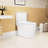 White 1.1/1.6 Ceramic Toilet, Elongated, Comfortable, Soft Close Seat, & , T036wt , White, Comfort Height,