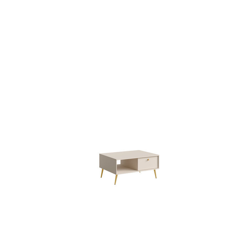 Coffee Table with Storage