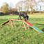 Agility Dog Walk