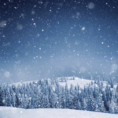 Snow blizzard in the morning Wall Art on Canvas