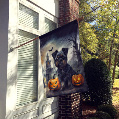 Drapeau de la maison d'Halloween Affenpinscher Spooky