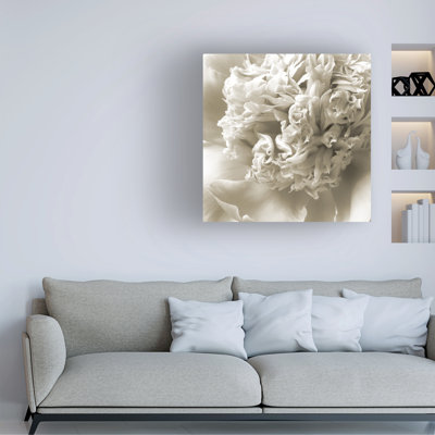 Art sur toile pivoine à la crème bolologia Tina Lavoie