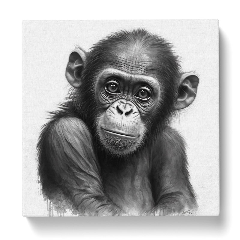 Print, 50cm H x 50cm W x 3cm D