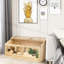 Hamster Cage