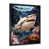 Black Single Picture Framed