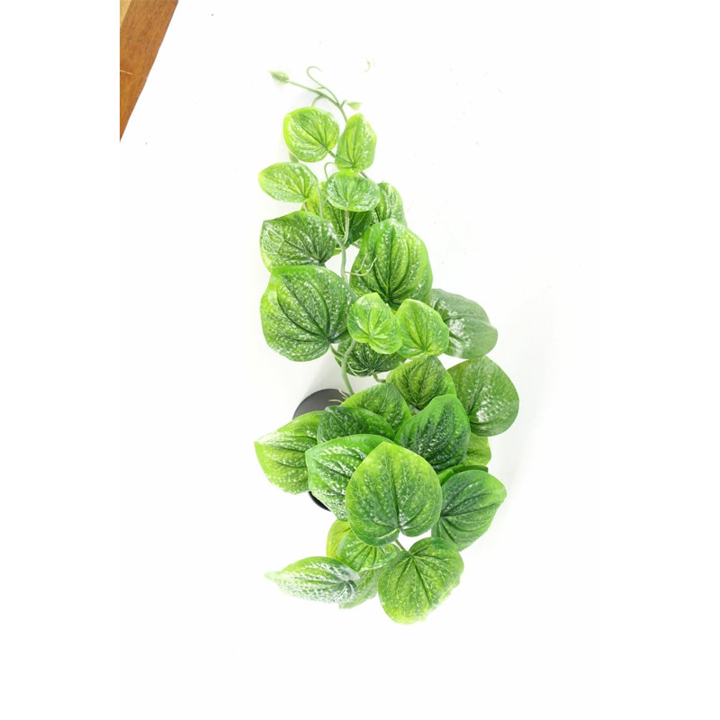35cm Faux Plant in Pot Liner, Green