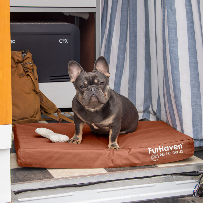 Chestnut Medium Cooling Gel Foam Orthopedic Dog Bed