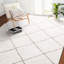 Tapis d'intérieur moelleux, tapis moelleux de 8 pi x 10 pi, tapis à poils longs avec poils longs, épais et durables