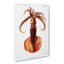 Squid Illustration by Albert I - Wrapped Canvas Painting-55318508