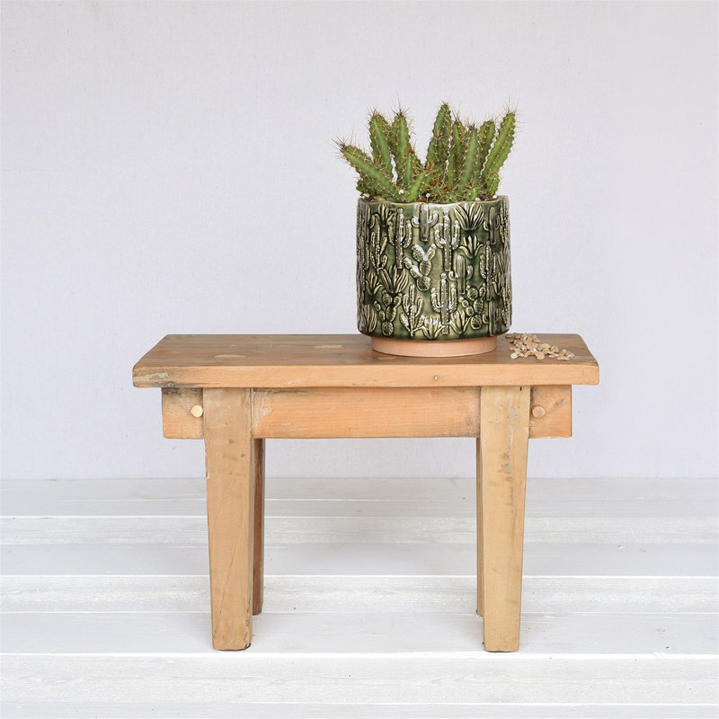Barba Ceramic Cactus Cachepot, 7" H x 7" W x 7" D