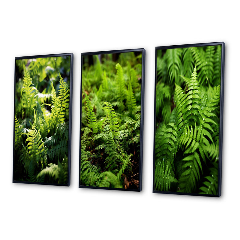 «Green Fern Fond», 3 pièces sur toile, Cadre flottant noir, H 40 po x l 60 po