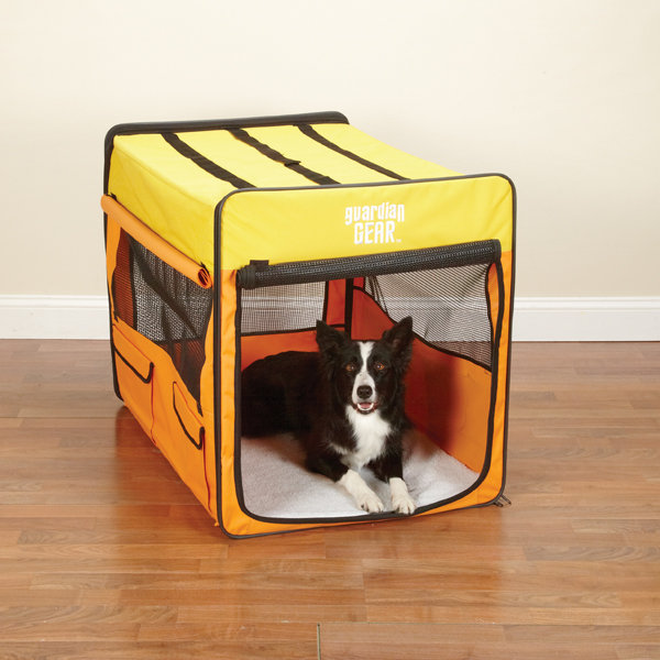 Caisse escamotable pour animal, Grand-org/jaune