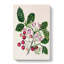 Puriri Vitex Lucens Flowers by Sarah Featon - Wrapped Canvas-55322433