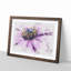 Pollen of a Purple Gerbera Flower - Picture Frame Graphic Art Print-56892554-56892556