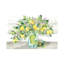 Lemons In Mason Jar Landscape - Wrapped Canvas Painting-344278697