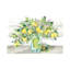 Lemons in Mason Jar Landscape 1 Piece Wrapped Canvas Painting-344278696
