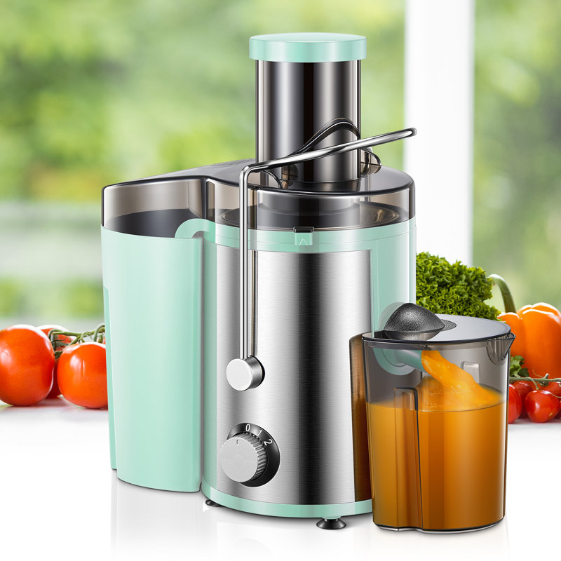 J-XIN Trading Co., Limited 800 W Safety Lock 2 Speed Electric Centrifugal Juicer Accessory, Green