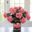 Arrangement floral de géranium