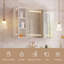 Rectangle Wall Mirror with Cabinet