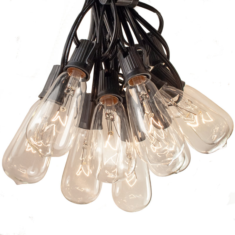 Edison String Lights Outdoor 50 - Bulb Plug-in String Light, Black