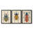 Beetle Bug I  -Custom Framed  Wrapped Gallery Canvas - 3 Pieces-2018489037-2018489035