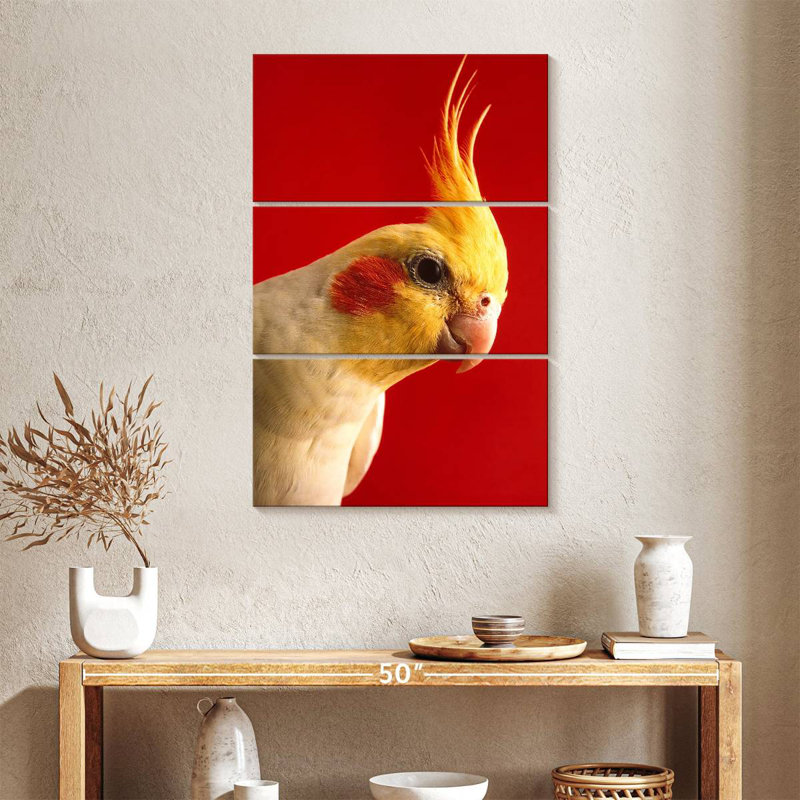 Brampt Lutino Cockatiel, 38" H x 24" W
