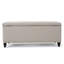 STORAGE OTTOMAN-2067621530