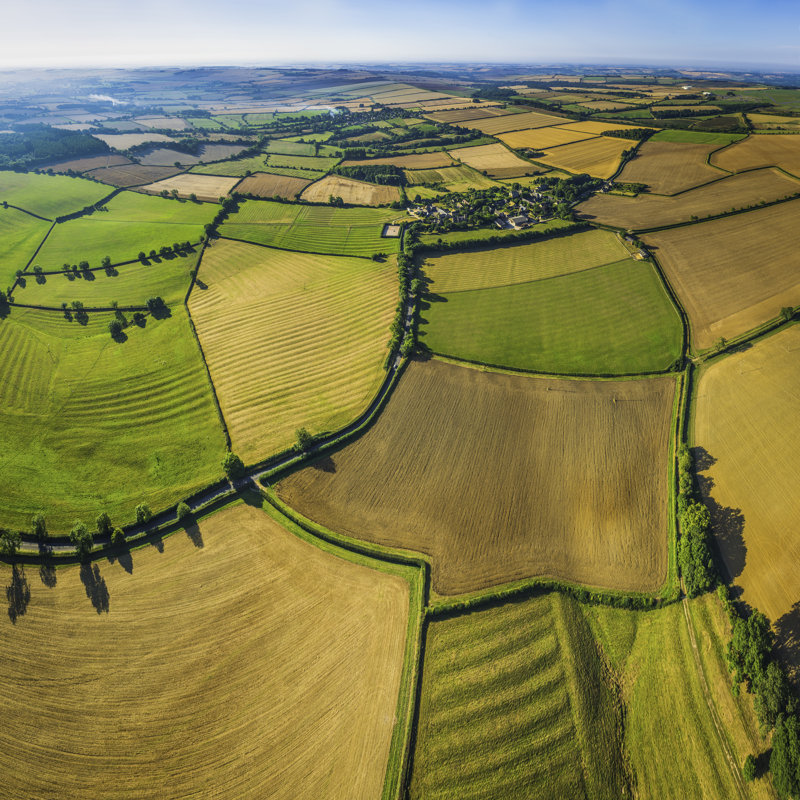 Farmland by Fotovoyager, 20" H x 20" W