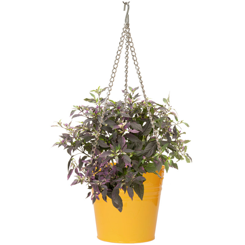 Pot à fleurs surélevé en acier galvanisé, Safran