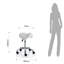 Adjustable Height Lab Stool