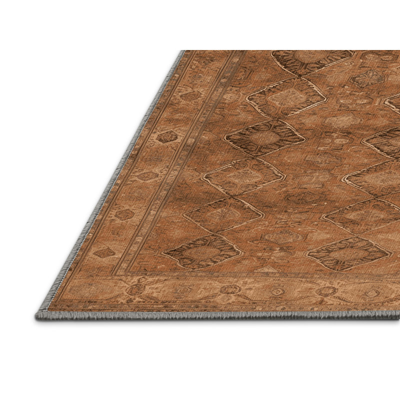 Machine Washable Persian Brown Area Rug, Rectangle 5' x 7'